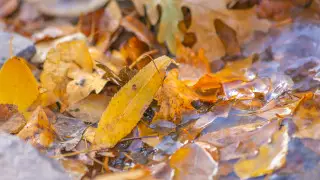 Warm, dry, and windy: Weather across Kazakhstan on October 20