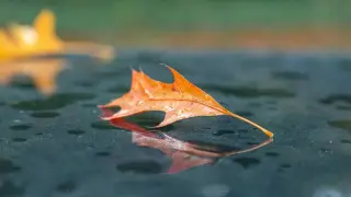 Fog and rain: weather in Kazakhstan for October 30