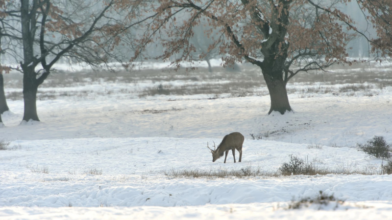 ©️ Depositphotos.com