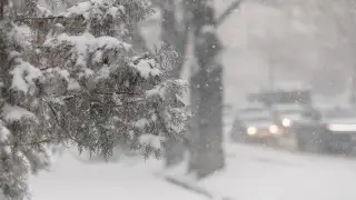 Blizzards to hit Kazakhstan in the coming days