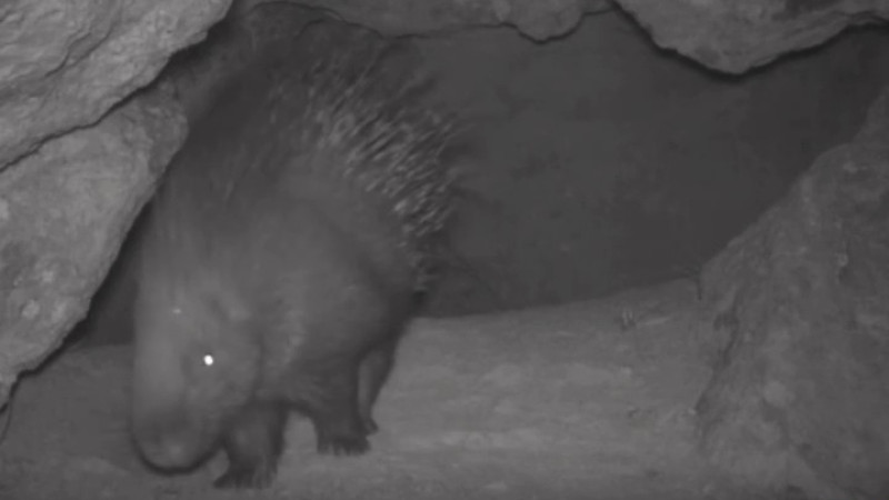 Image created from video frames