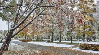 Weather forecast for Thursday in Kazakhstan: where to expect frost, snow, and fog