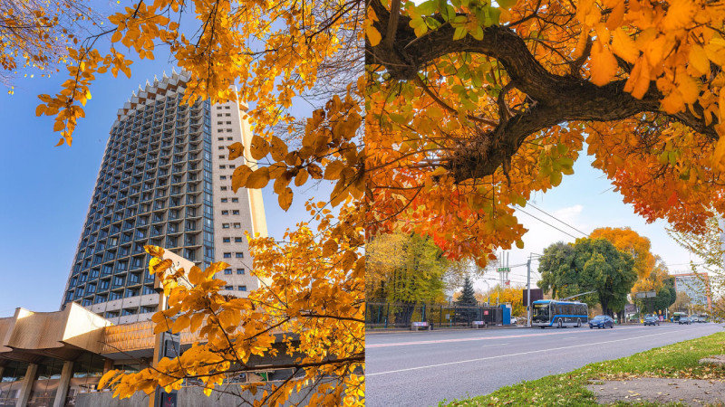 Photo: instagram.com/dots_foto