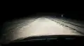 Wild steppe cat spotted on a road near Aktau