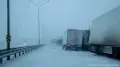 Hundreds of trucks pile up at the Kazakhstan-China border
