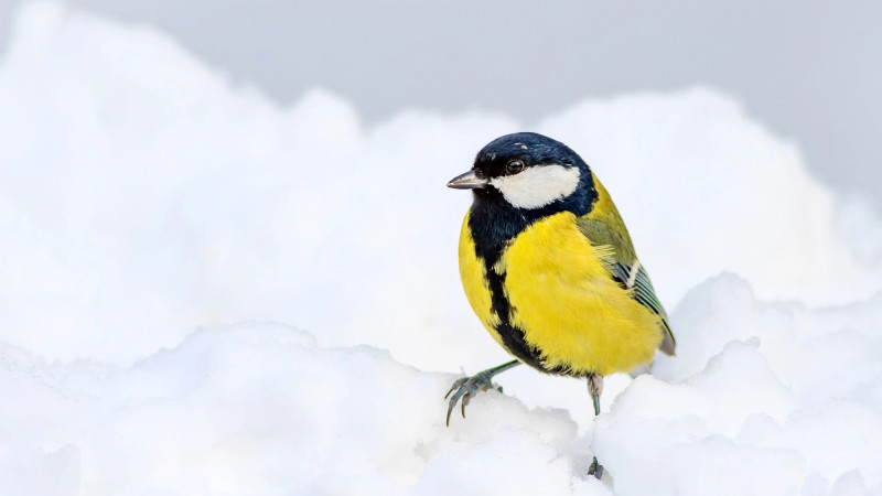 ©️ Depositphotos.com