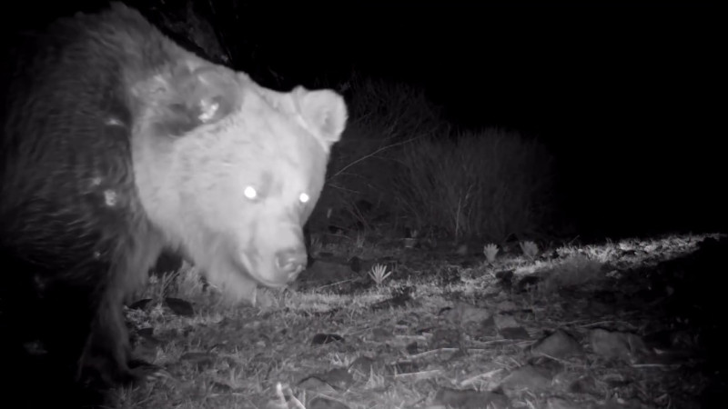 Image created from video frames