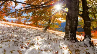 Rain, snow, fog, and wind: weather in Kazakhstan for November 13