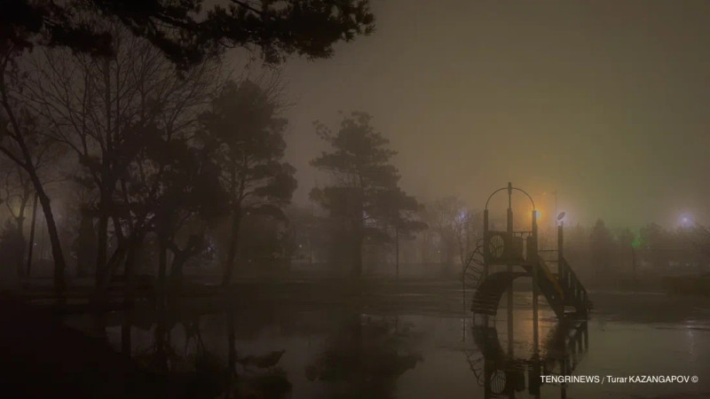 ©️ Turar Kazangapov