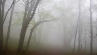 Kazakhstan to be shrouded in fog: storm warning issued in 17 regions