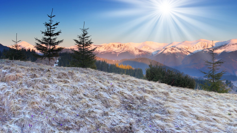 ©️ Depositphotos.com