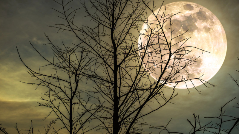 ©️ Depositphotos.com