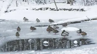Arctic cold approaches Kazakhstan
