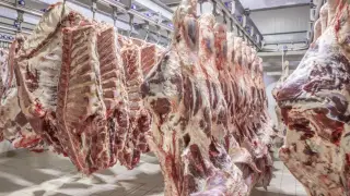 Kazakhstan restricts beef exports: minister cites reason