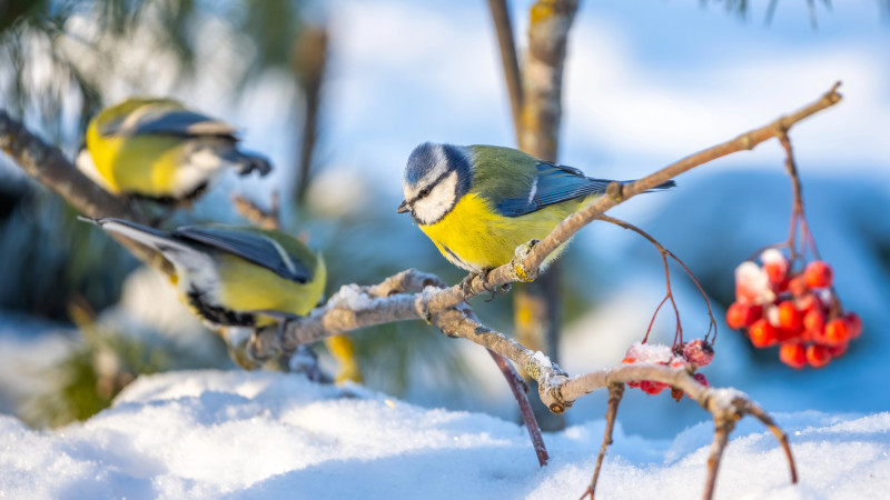 © Depositphotos.com