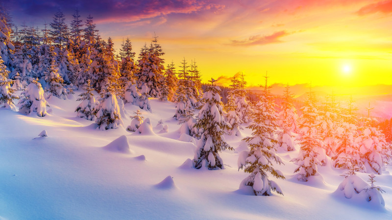 © Depositphotos.com