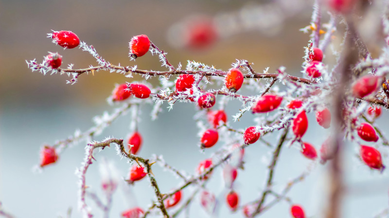 © Depositphotos.com