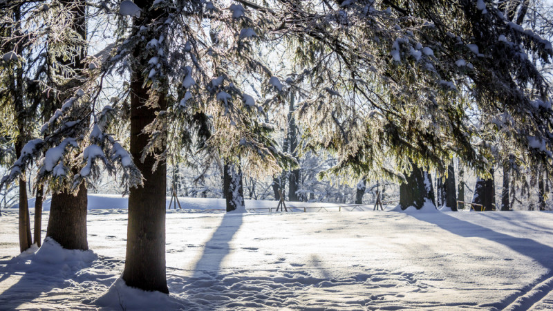 © Depositphotos.com