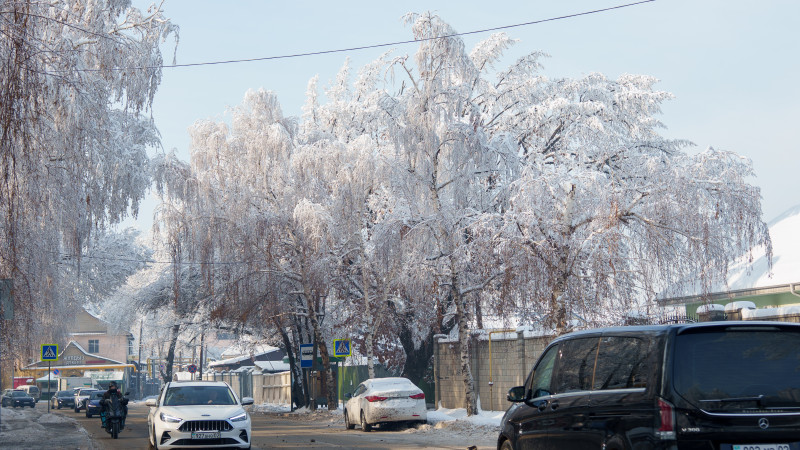 © Tengrinews.kz / Bolat Aitmolda