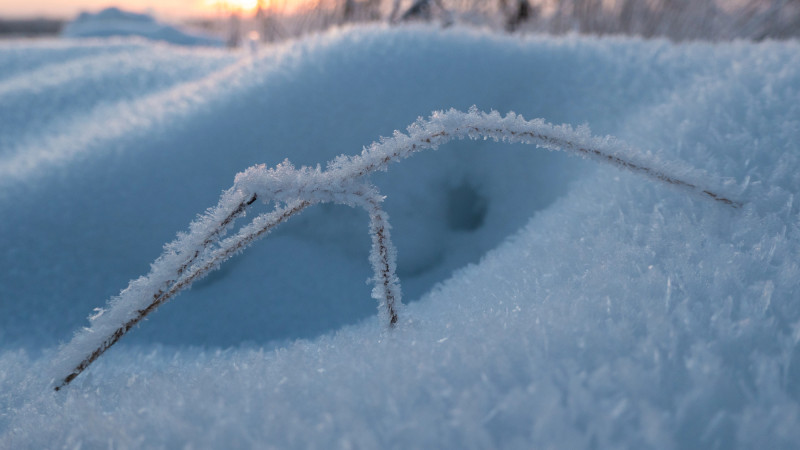 © Depositphotos.com