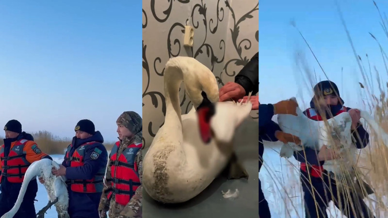 Image created from video frames