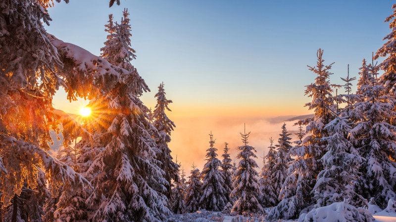 © Depositphotos.com