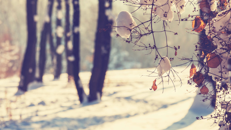 © Depositphotos.com