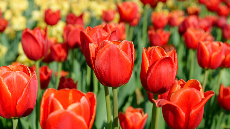© Depositphotos.com