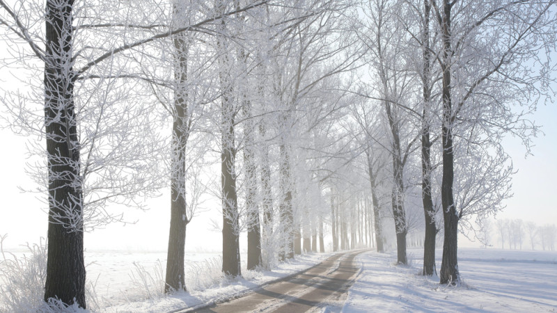© Depositphotos.com
