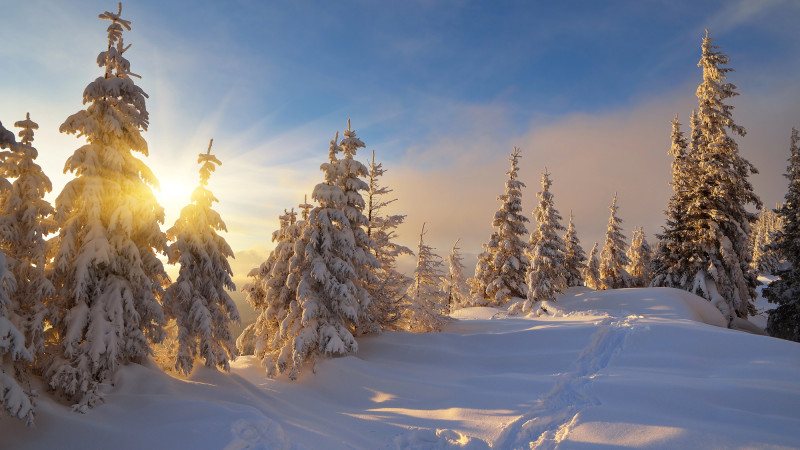 © Depositphotos.com