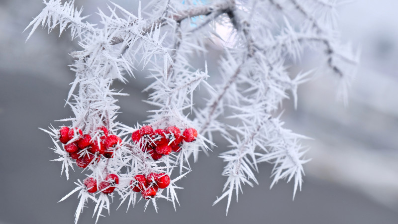 © Depositphotos.com