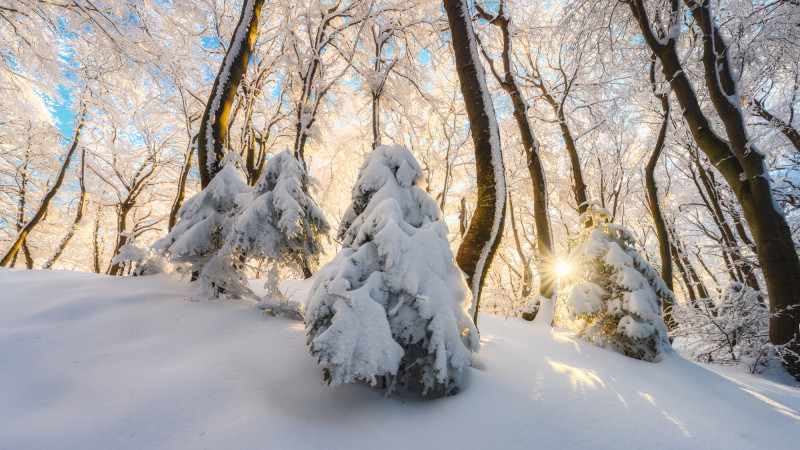 © Depositphotos.com