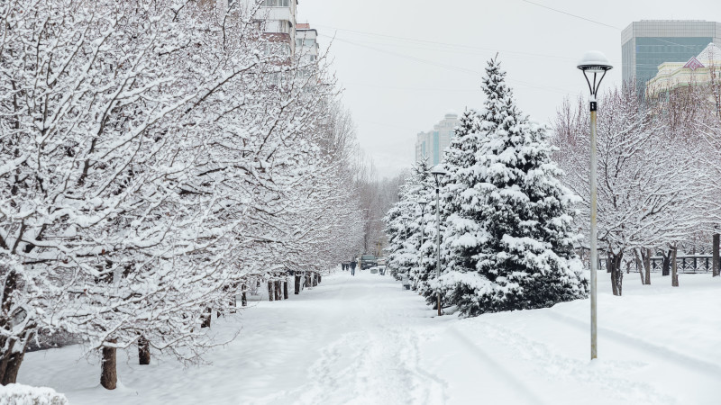© Tengrinews.kz / Alikhan Sariyev