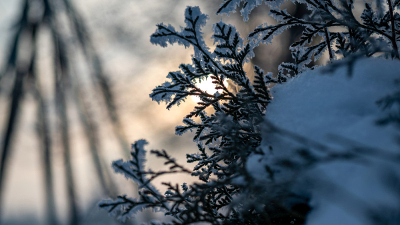 © Depositphotos.com