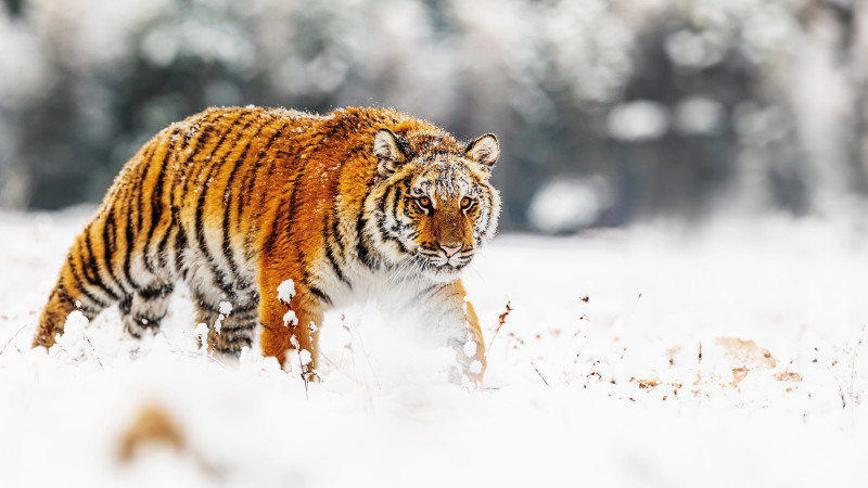 © Depositphotos.com