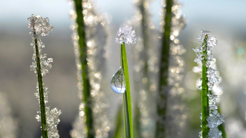 © Depositphotos.com