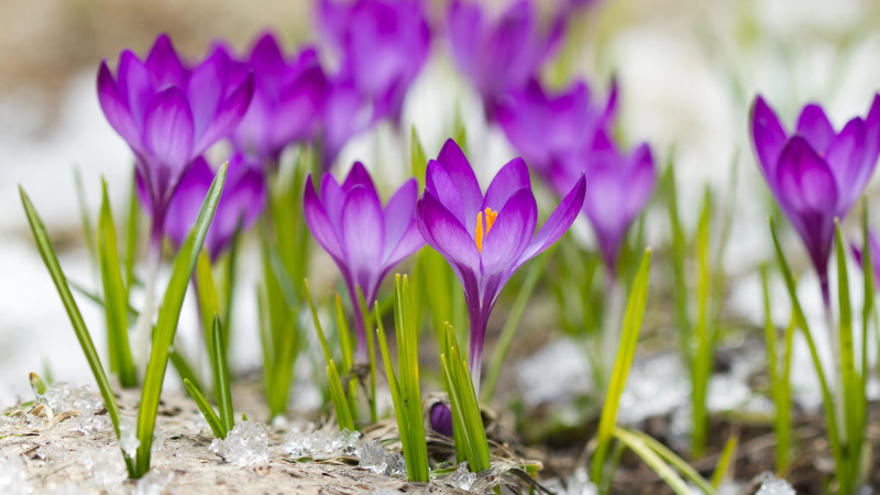 © Depositphotos.com