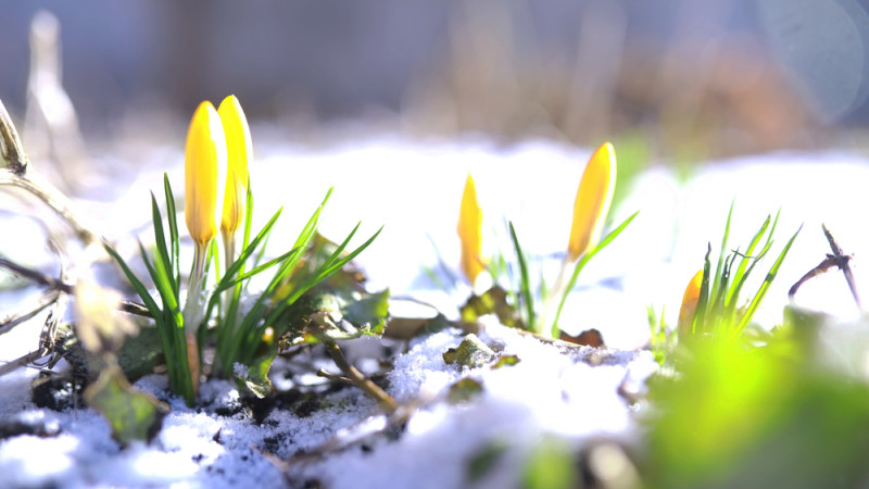 © Depositphotos.com