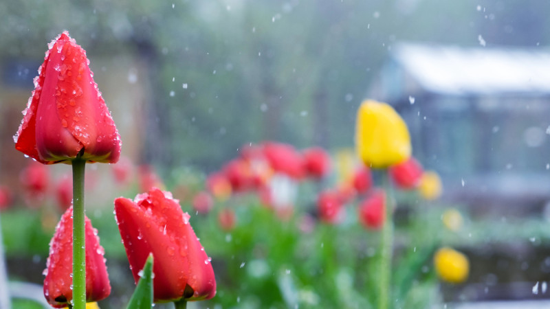 © Depositphotos.com