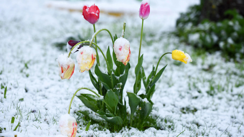 © Depositphotos.com