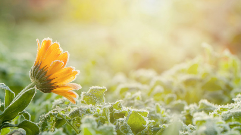 © Depositphotos.com