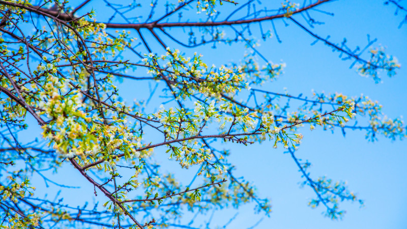 © Depositphotos.com