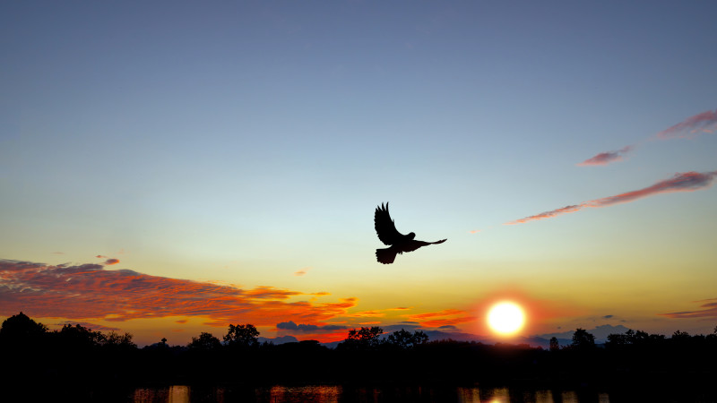 © Depositphotos.com