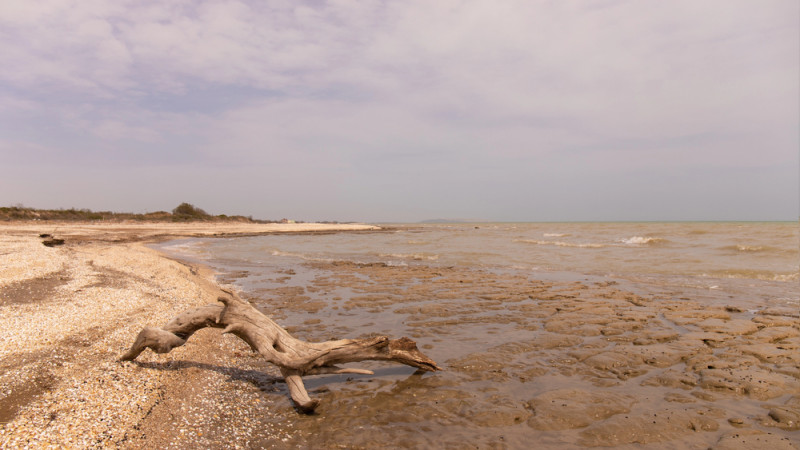 © Depositphotos.com