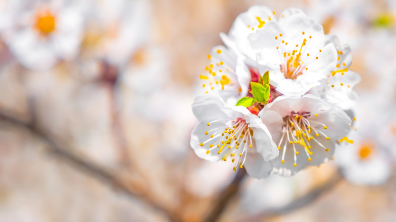© Depositphotos.com