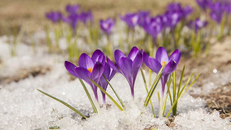 © Depositphotos.com