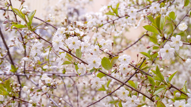 © Depositphotos.com