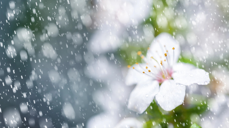 © Depositphotos.com