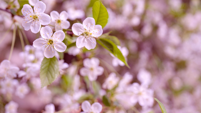 © Depositphotos.com