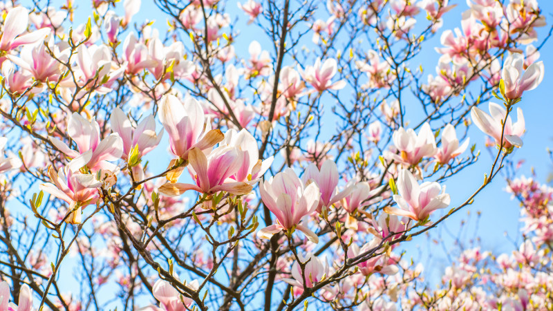 © Depositphotos.com